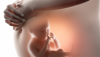 Raport Ordo Iuris: Prenatalna opieka hospicyjna – wizja, działania oraz wyzwania
