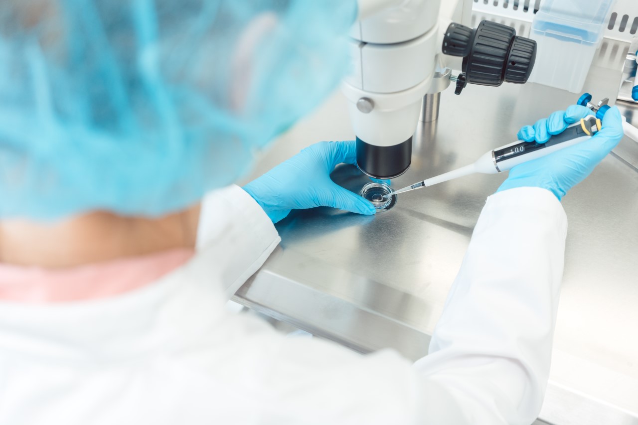 Efekty warszawskiego programu dofinansowania procedury in vitro