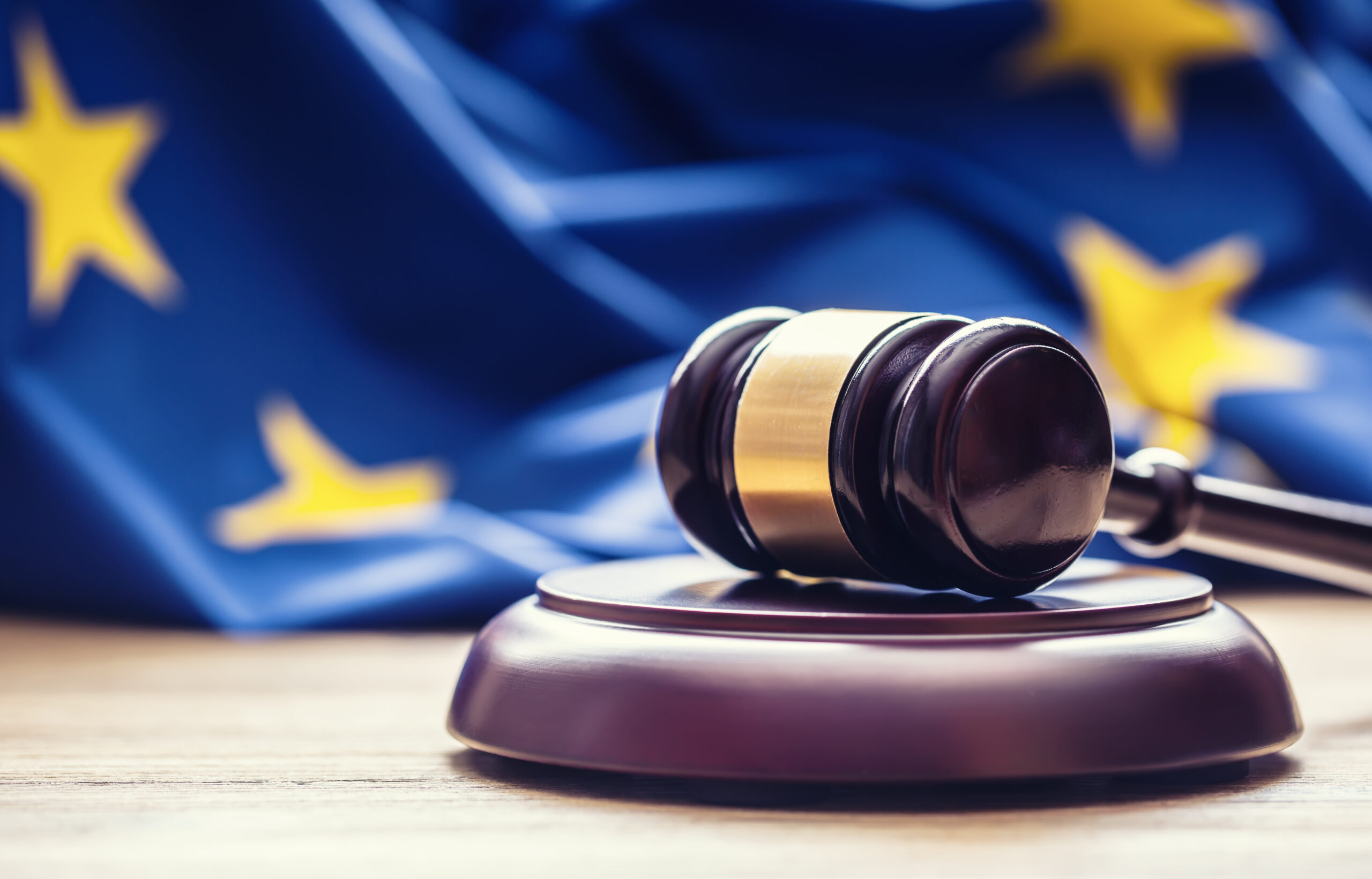 Rezolucja PE znieważa Polskę i Ordo Iuris. Będzie pozew przeciwko Unii Europejskiej