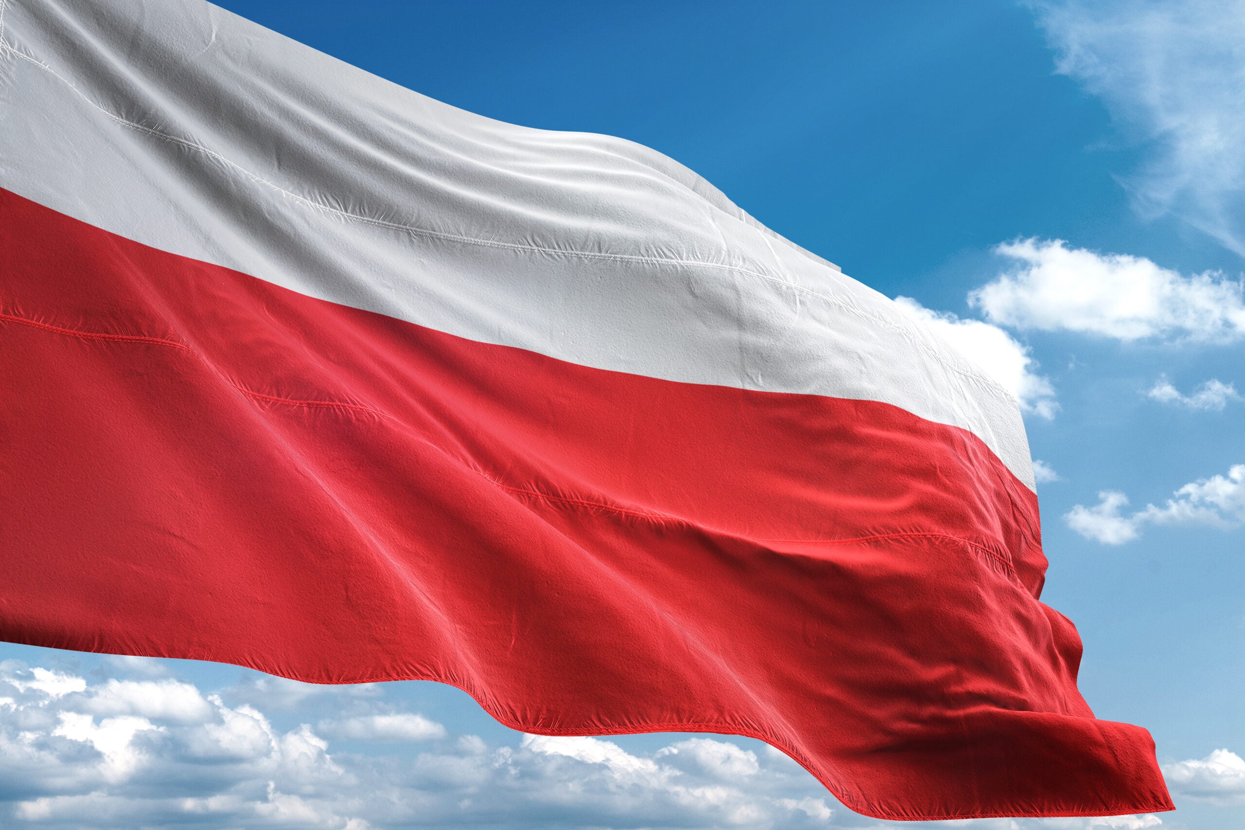 Ordo Iuris w obronie dobrego imienia Polski. Pozwy wobec autorów zniesławień i raport prostujący dezinformacje