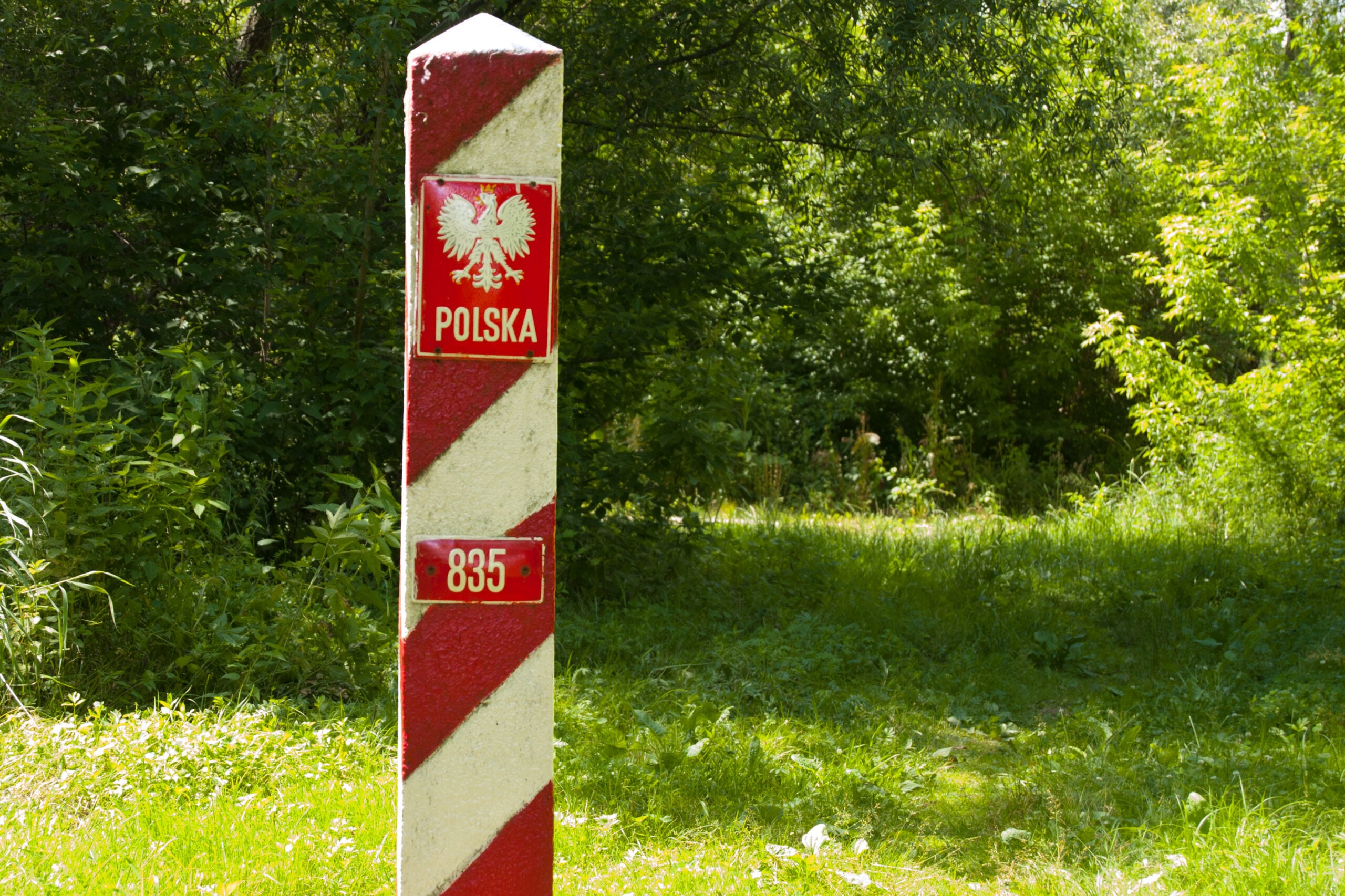 Zarzuty wobec Straży Granicznej bezzasadne