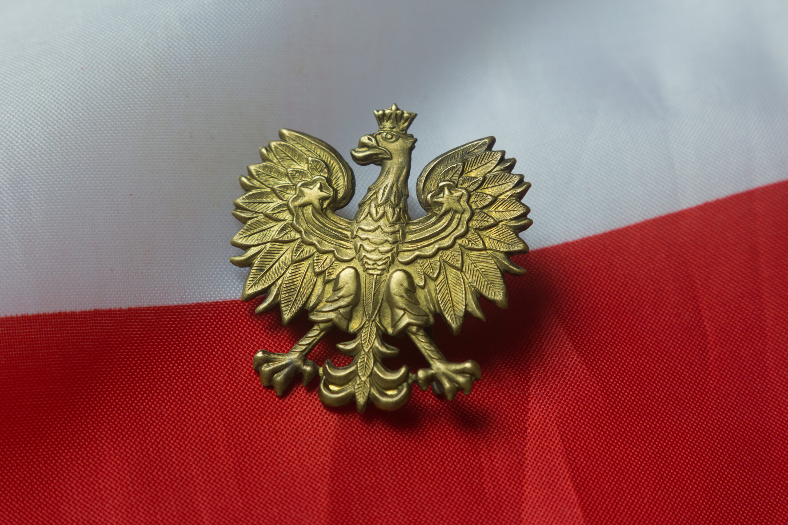 Ordo Iuris pozywa Hansa G. za naruszenie dobrego imienia Rzeczypospolitej Polskiej i Narodu Polskiego