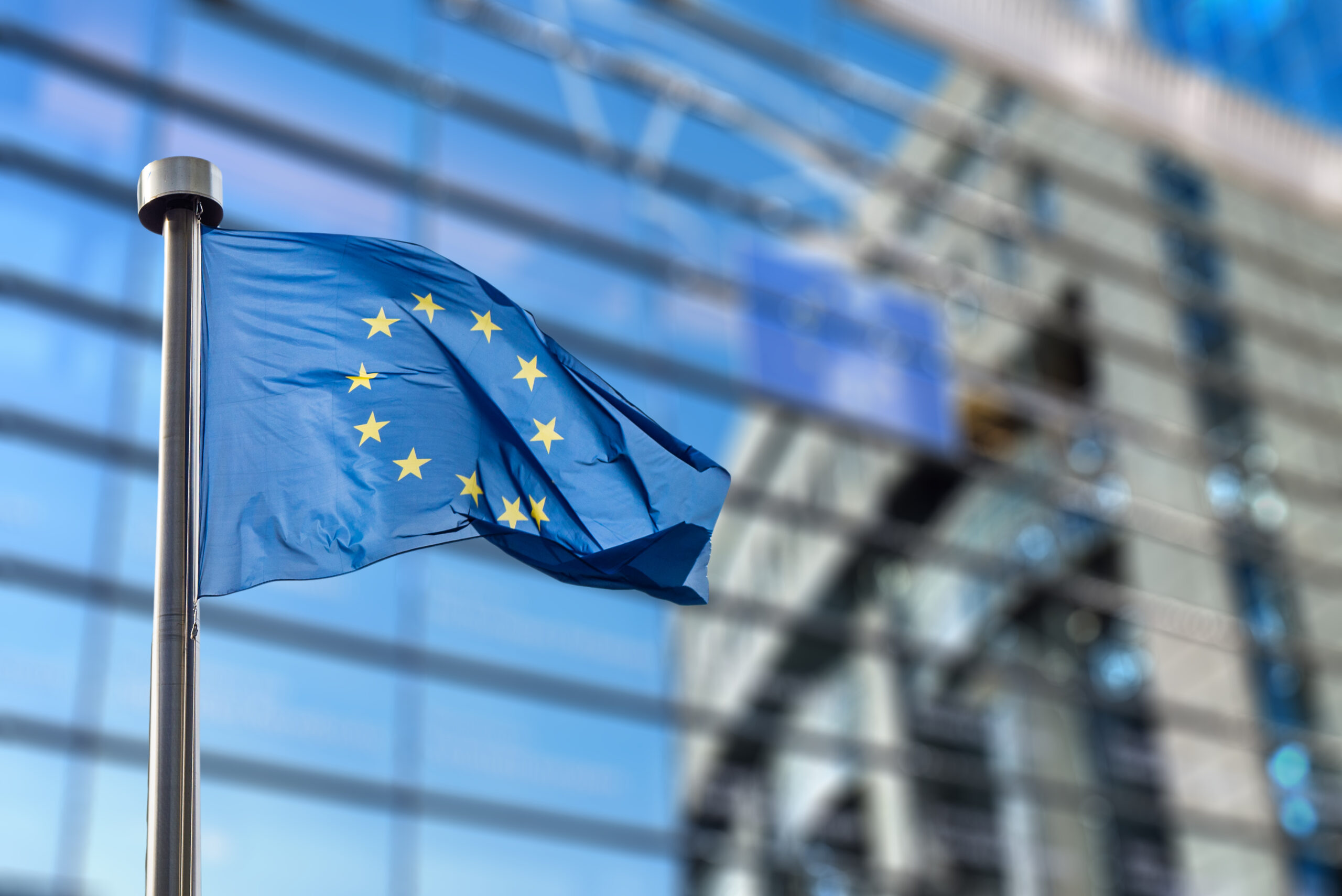 Stop ideologicznemu neokolonializmowi. Międzynarodowa koalicja przeciwko umowie Unii Europejskiej i Organizacji Państw Afryki, Karaibów i Pacyfiku