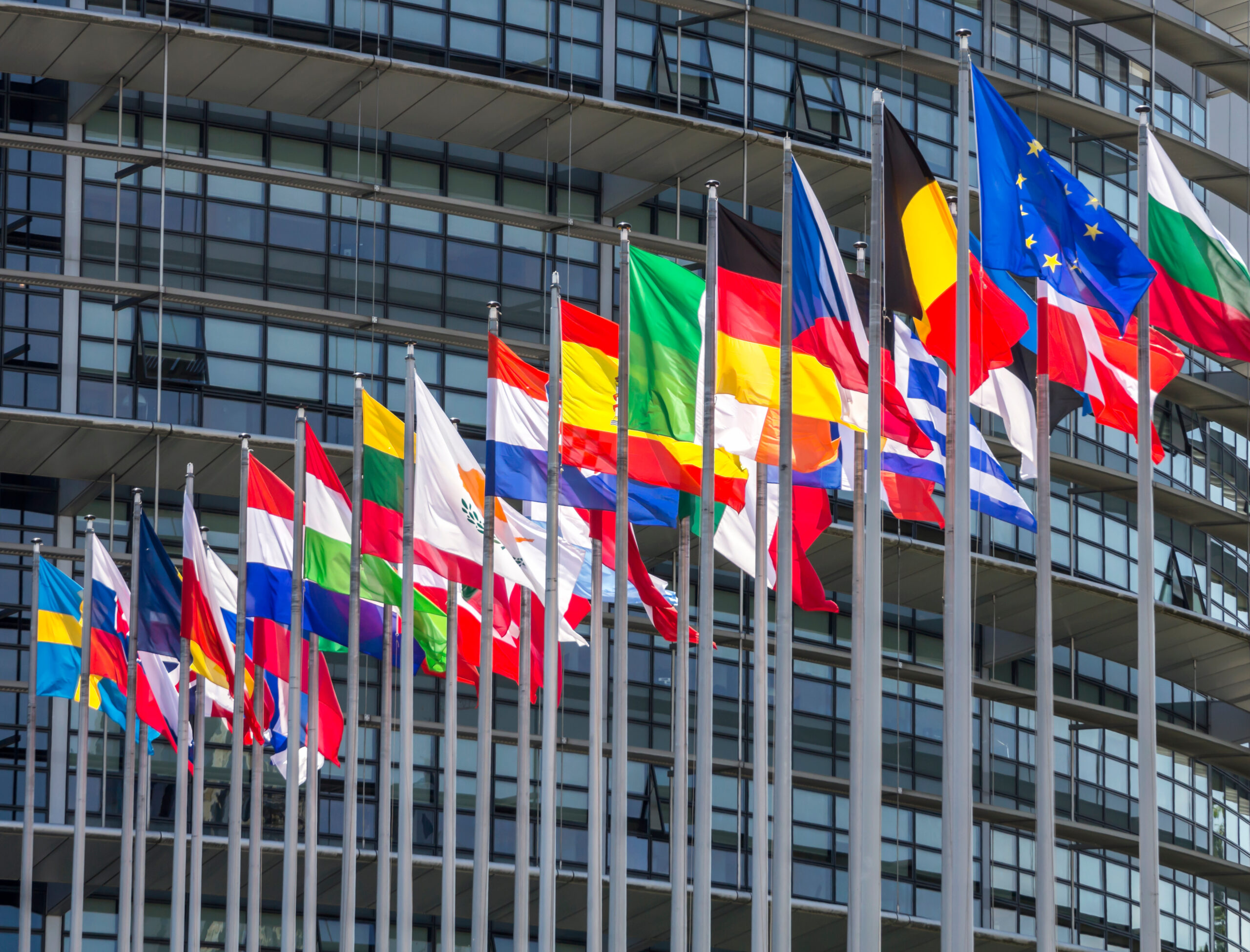 Anna Kubacka: Według Komisji Parlamentu Europejskiego, obrońcy życia „tłumią demokrację i walczą z prawami człowieka”