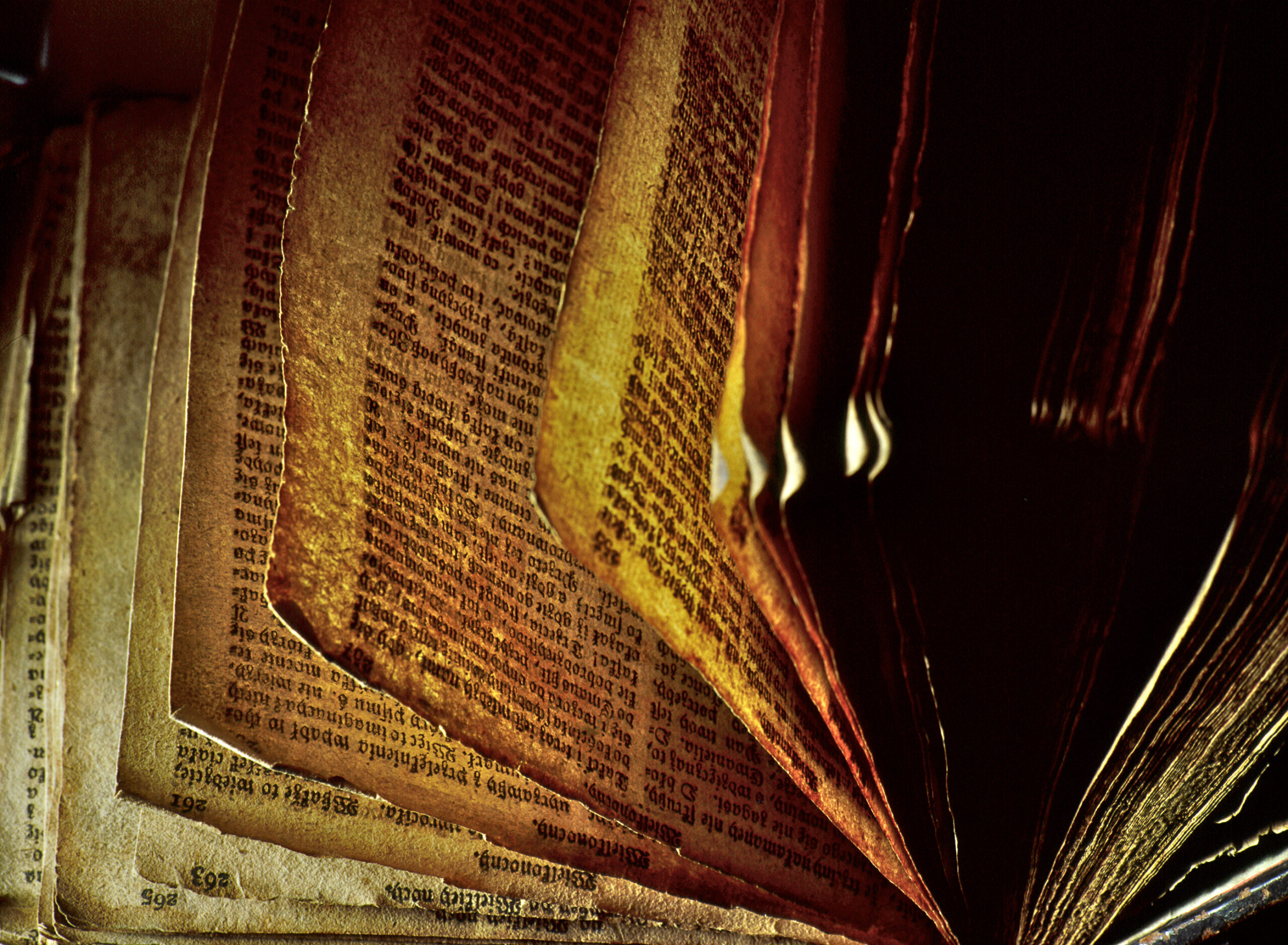 Dr Łukasz Rosiak: Projekt ustawy o przekazaniu Węgrom Kodeksu Korwina jest sprzeczny z Konstytucją