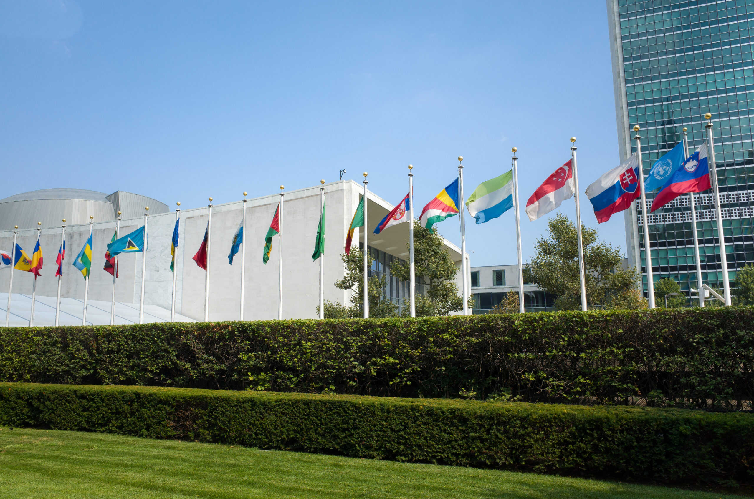 Zgromadzenie Ogólne ONZ: głosowanie nad przyjęciem rezolucji promującej aborcję jako prawo człowieka