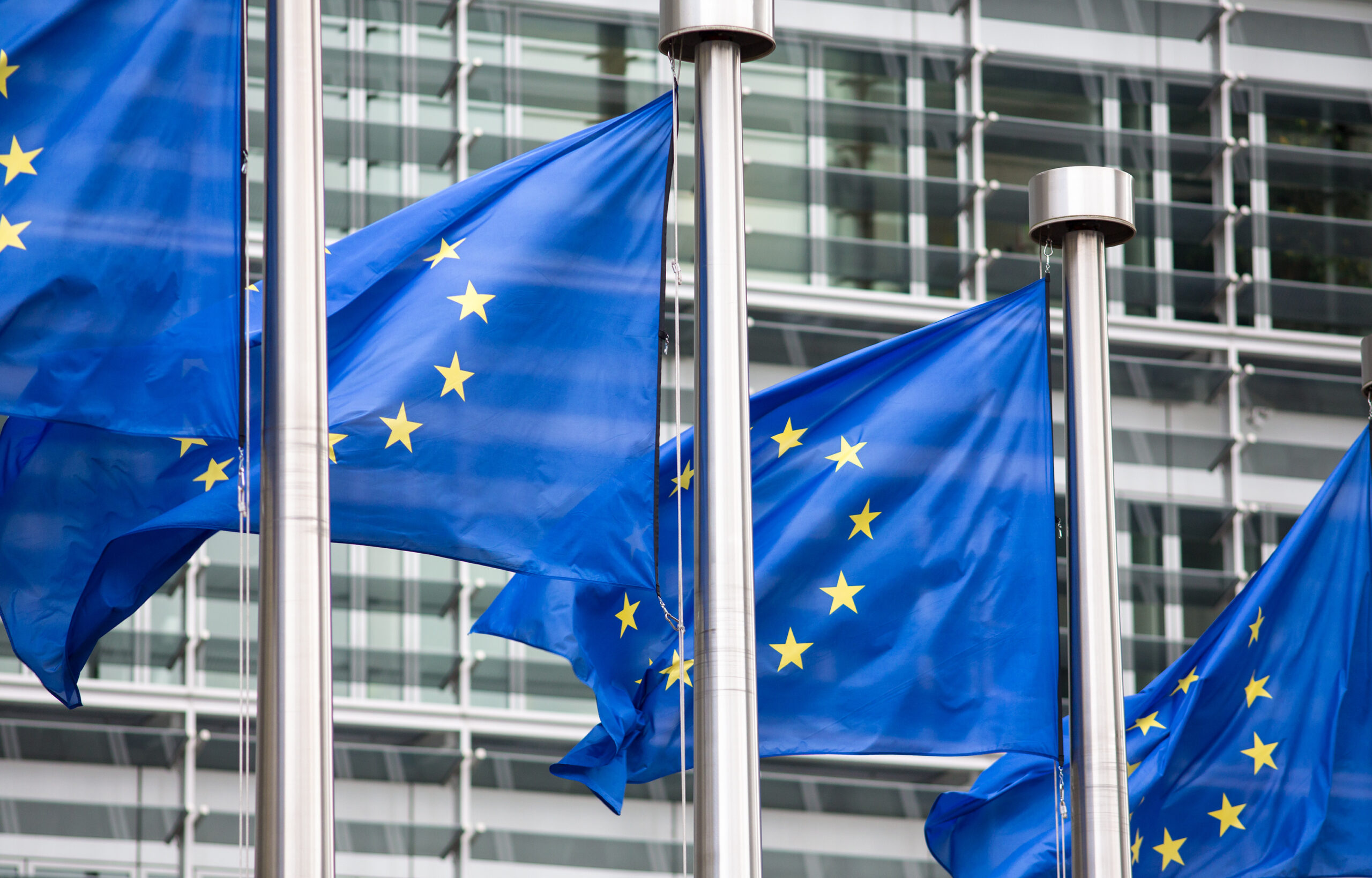 43 zarzuty eurodeputowanego Cyrusa Engerera wobec Polski w świetle polskiego i międzynarodowego porządku prawnego