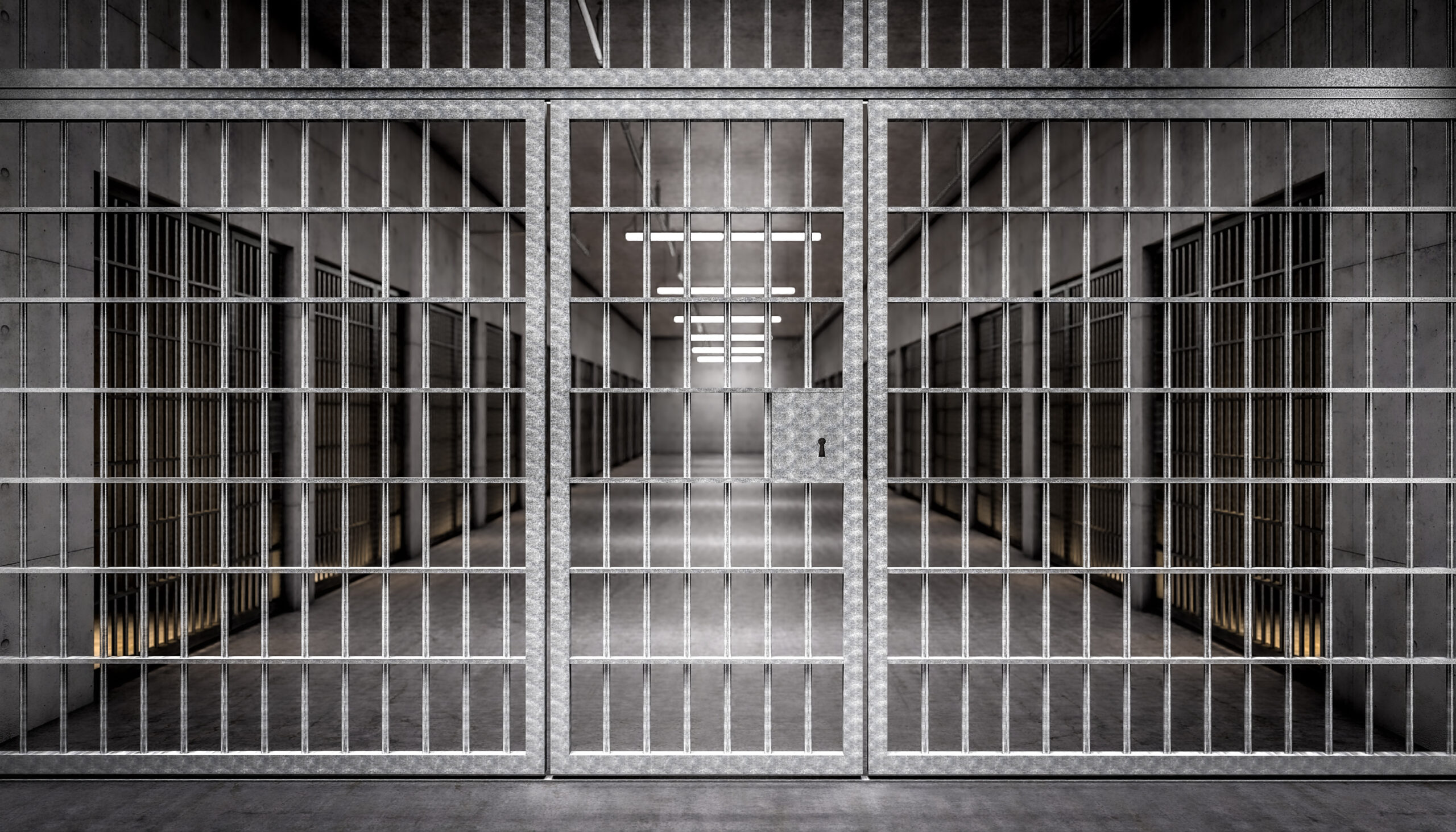 Trzy lata więzienia za próbę wyrwania tęczowej torby. Ordo Iuris w obronie działaczki