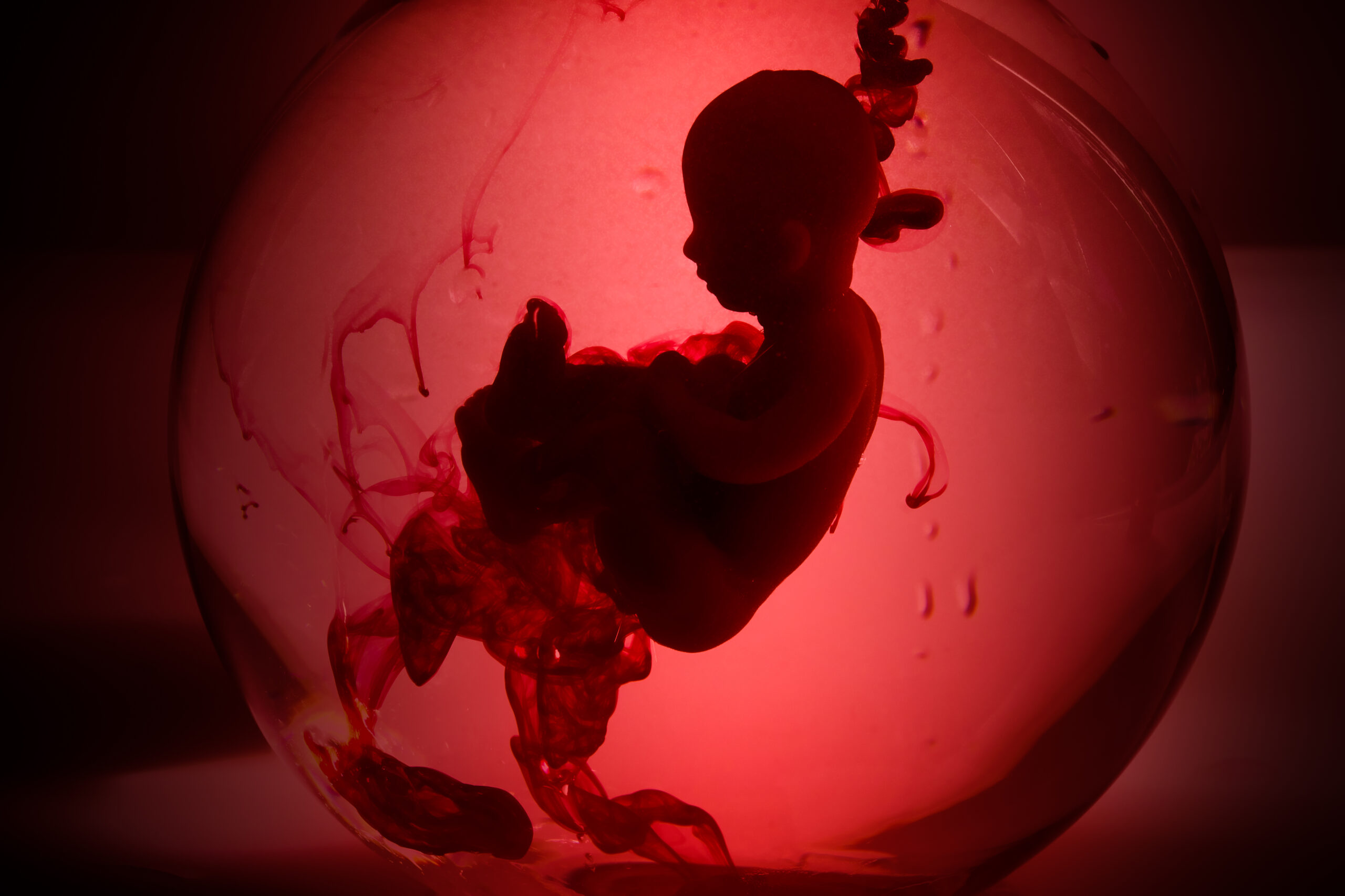 Uwagi w przedmiocie dopuszczalności przeprowadzenia aborcji z powodu złego stanu zdrowia psychicznego matki