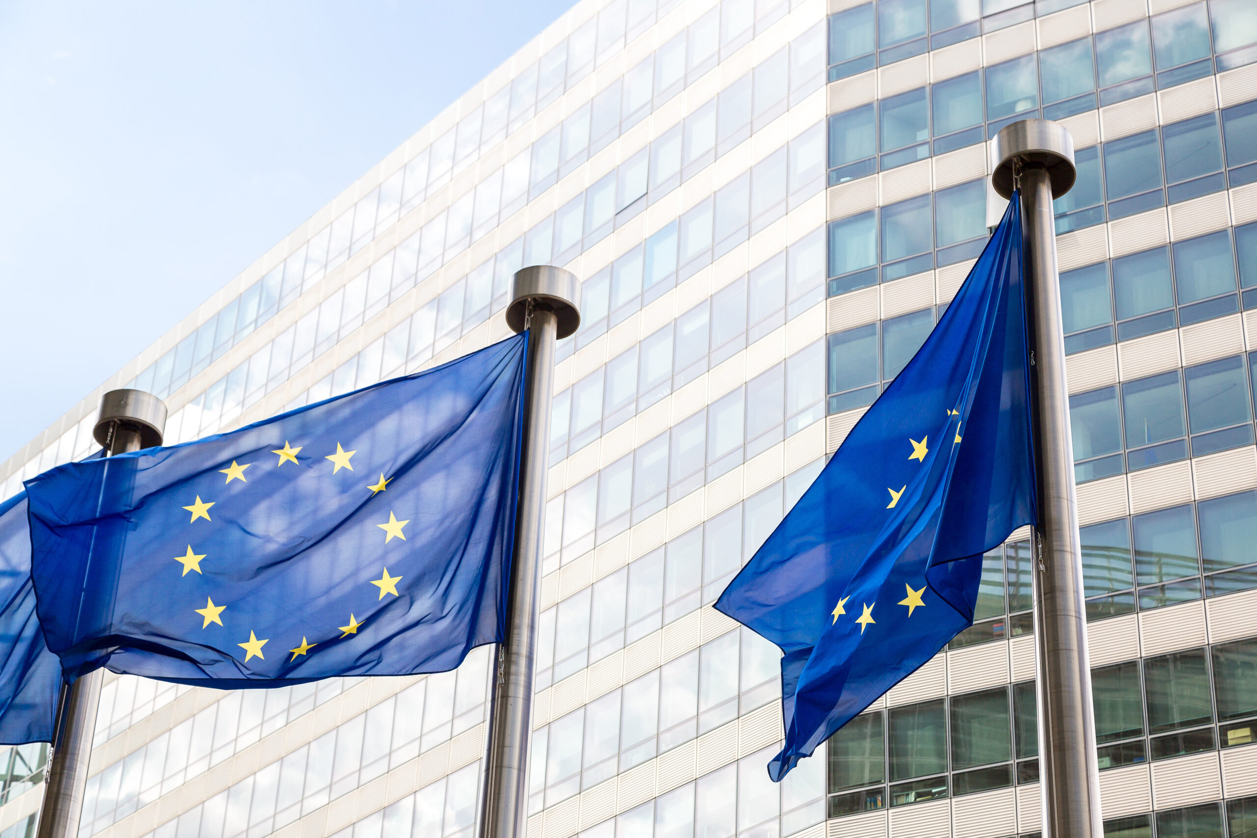 Opinia prawna na temat znaczenia konsensusu w procedurze rewizji traktatów określonej w art. 48 Traktatu o Unii Europejskiej