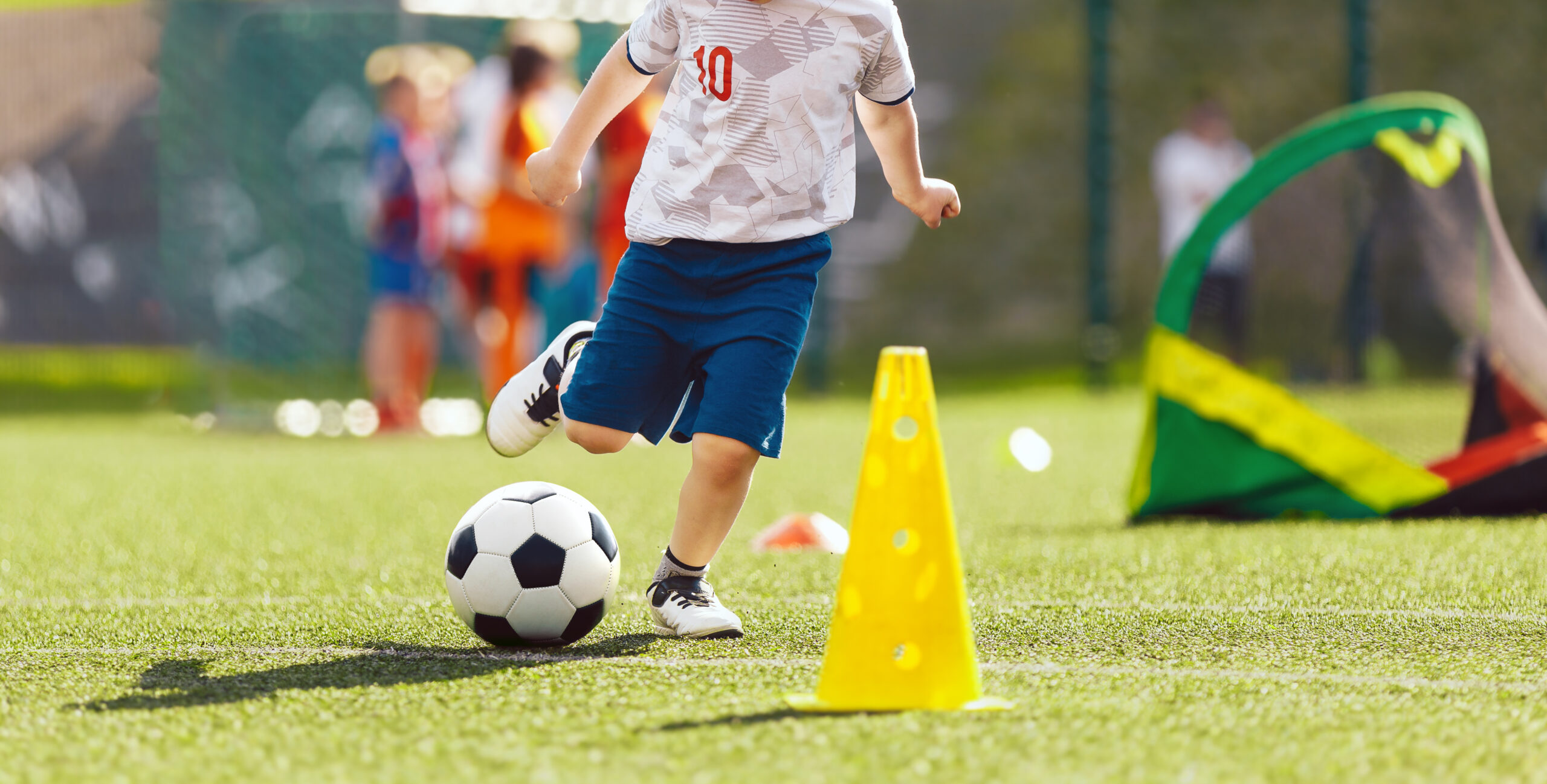 Opinia prawna na temat wybranych zagadnień związanych z wdrożeniem do szkół programu „Sportowe talenty”