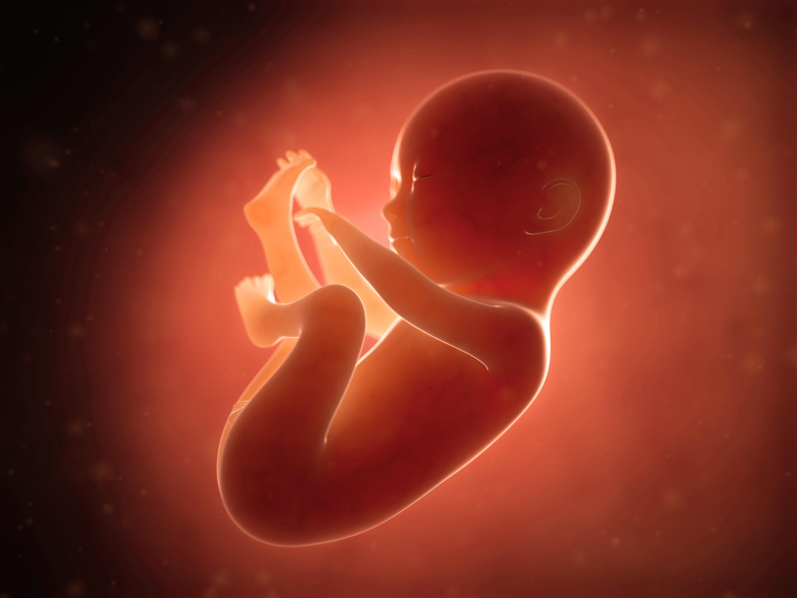 Aborcja – co trzeba zrobić, żeby Donald Tusk wyciągnął z piwnicy swój zakurzony krucyfiks?