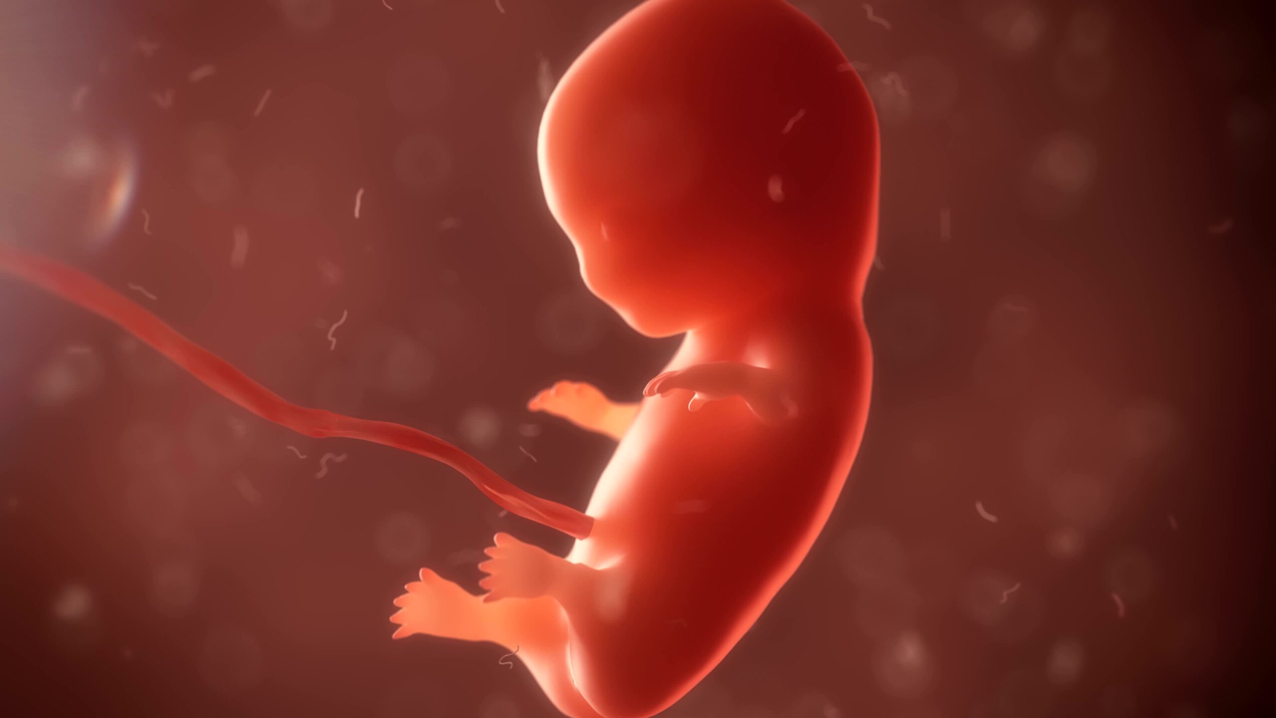 Zakaz aborcji w Polsce nie narusza praw człowieka. Manipulacyjny raport Komitetu CEDAW