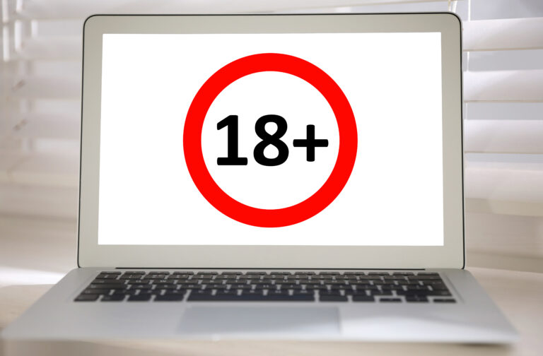 Speaker of the Polish Sejm Advances “Stop the Pornography Drug” Bill to First Reading