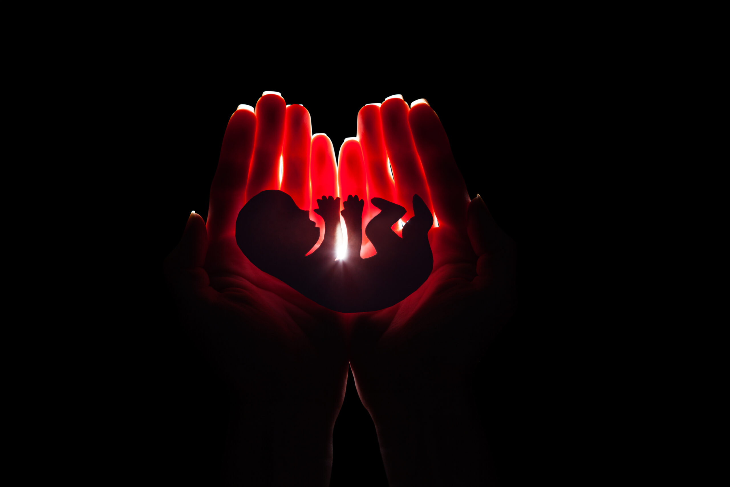 International coalition to protect unborn life. The Ordo Iuris Institute is among the signatories of the appeal to the President of France