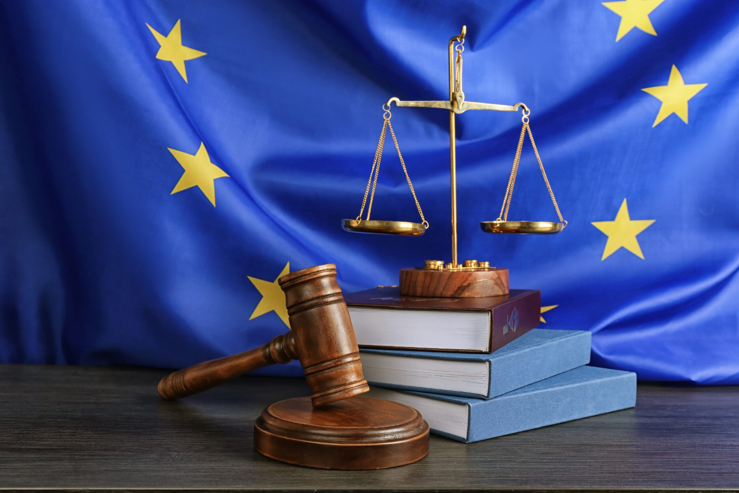 The EP calls for the non-application of the presumption of innocence to men and the implementation of gender postulates