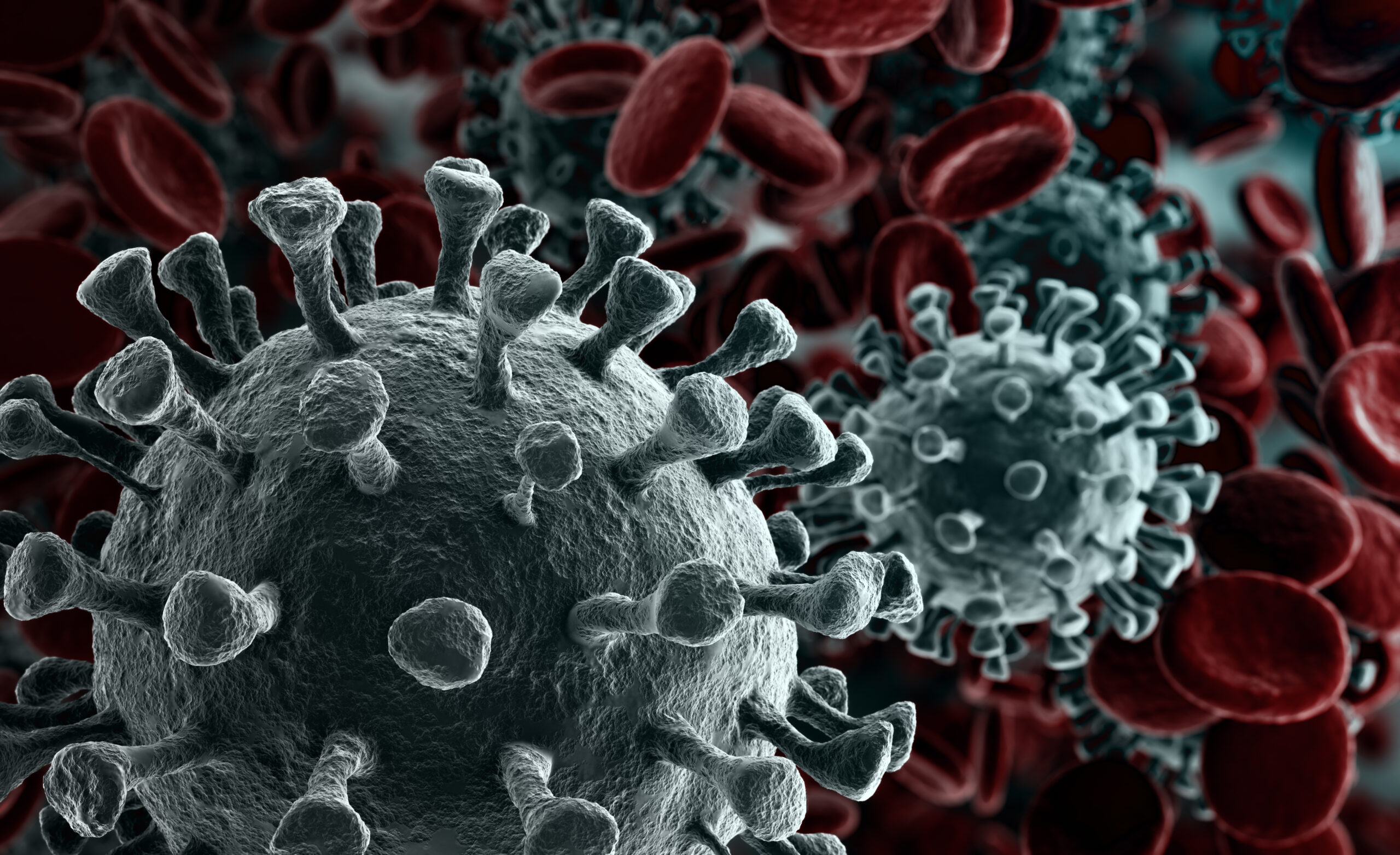 Minister of Health: “WHO must remain a leader in global health security”