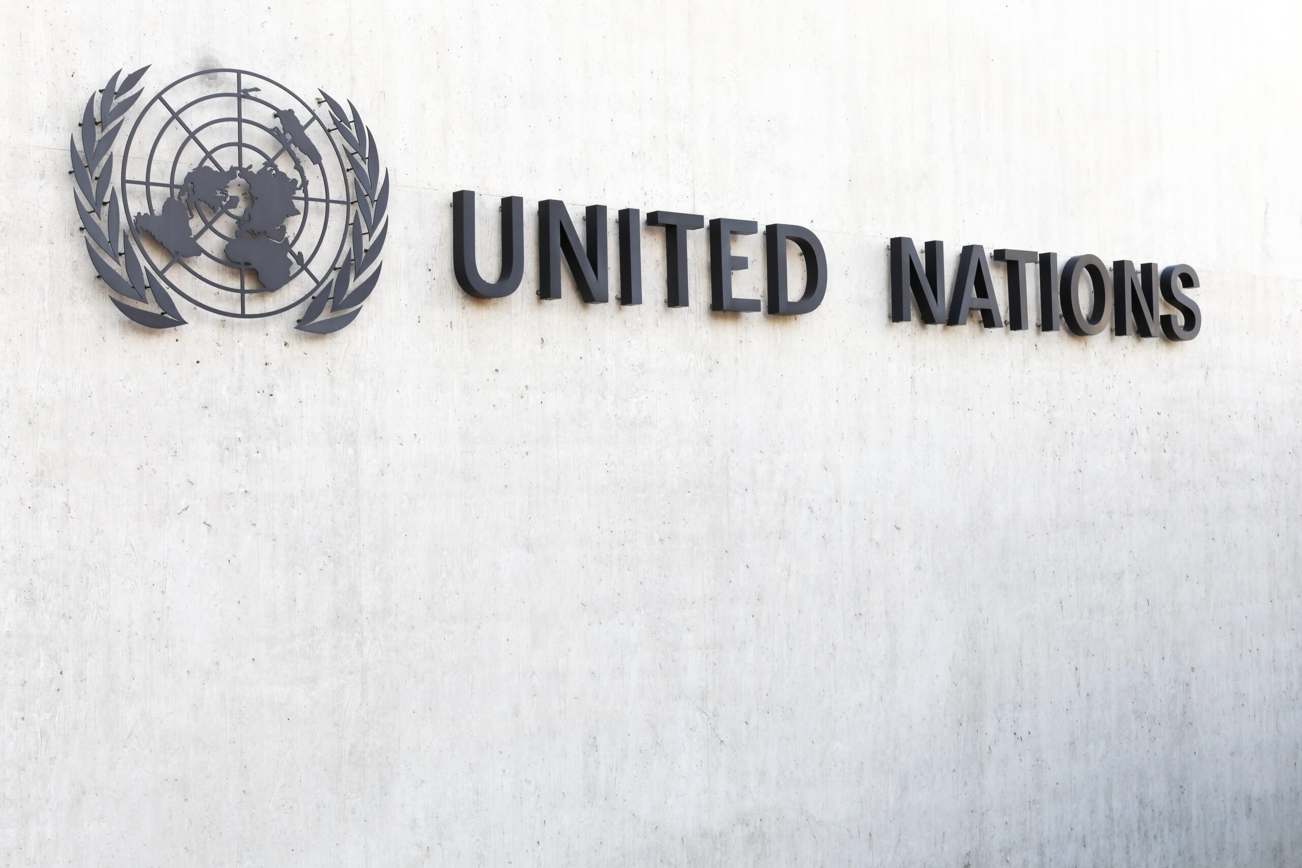 United Nations passes resolution considering abortion a human right: Poland among co-sponsors