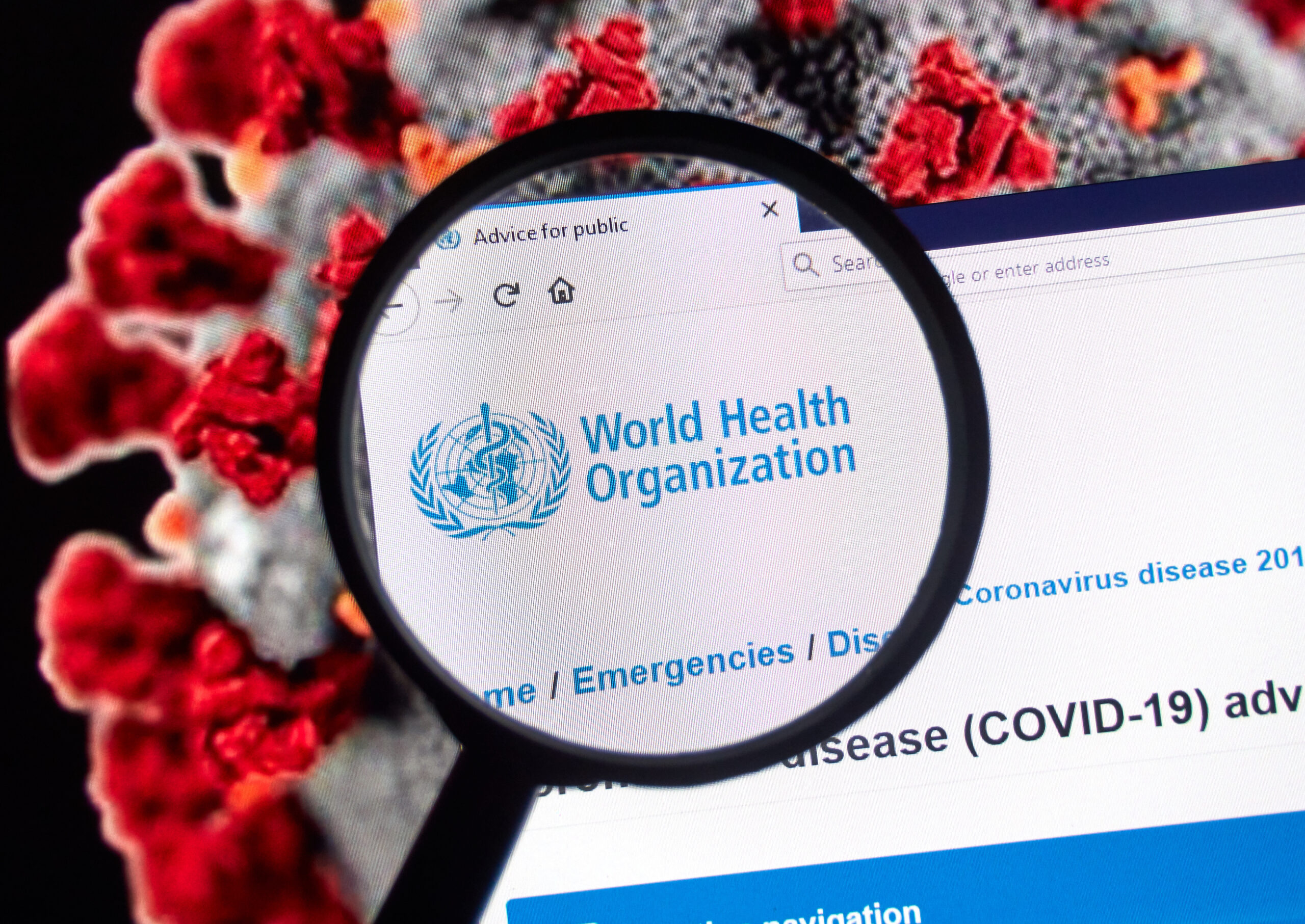 An “international anti-pandemic treaty” may infringe the competences of sovereign states