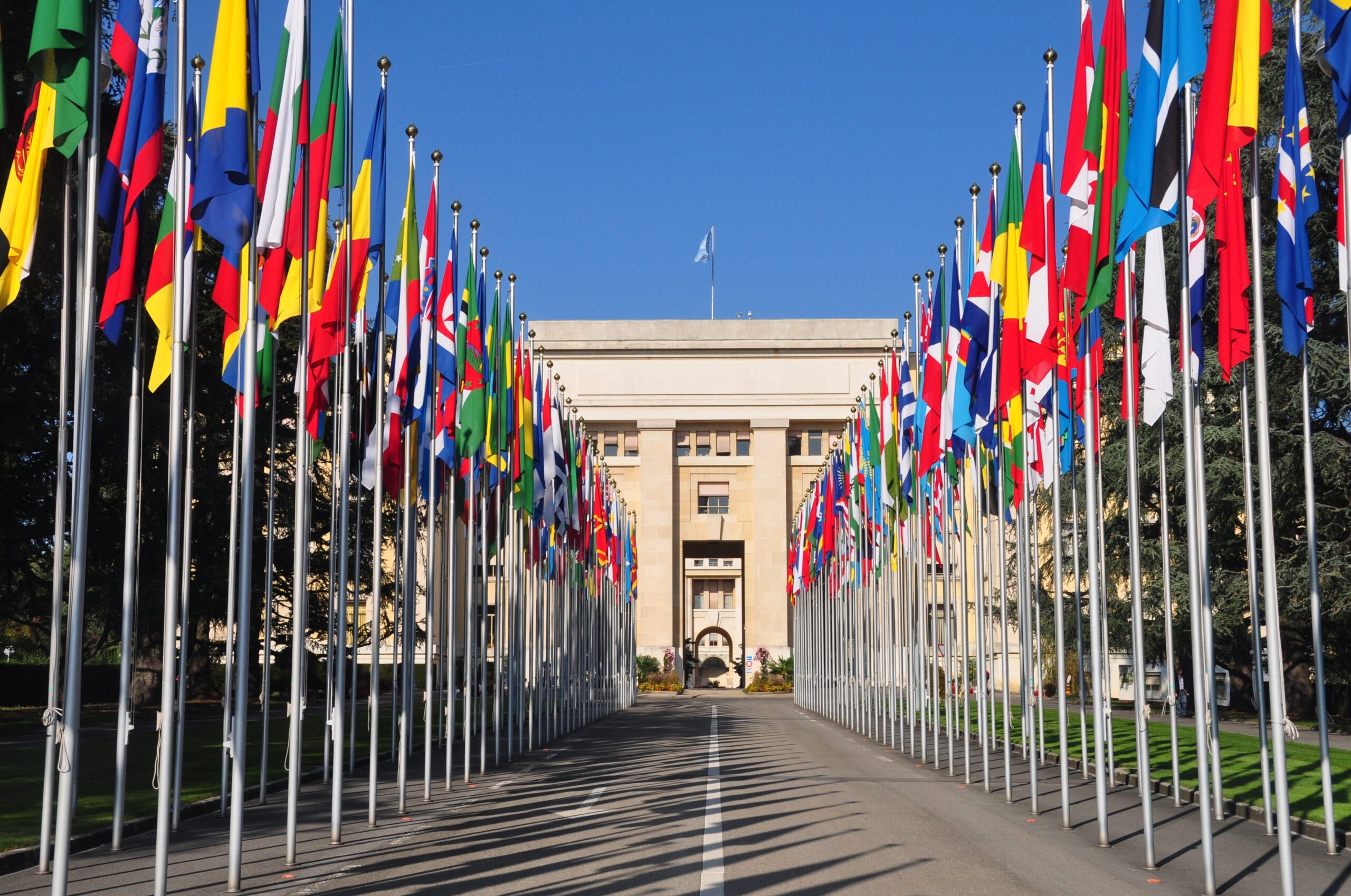 Gender postulates in a UN report