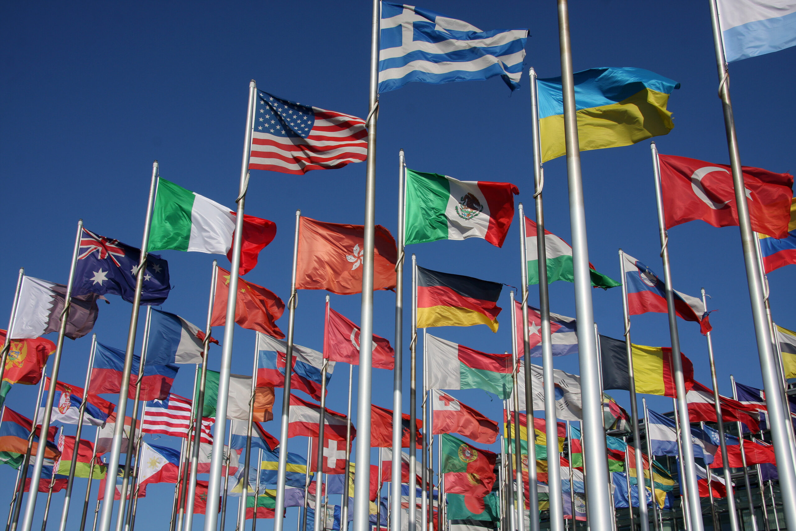 UN Human Rights Council: Appeal to Support Abortion and Feminist Movements