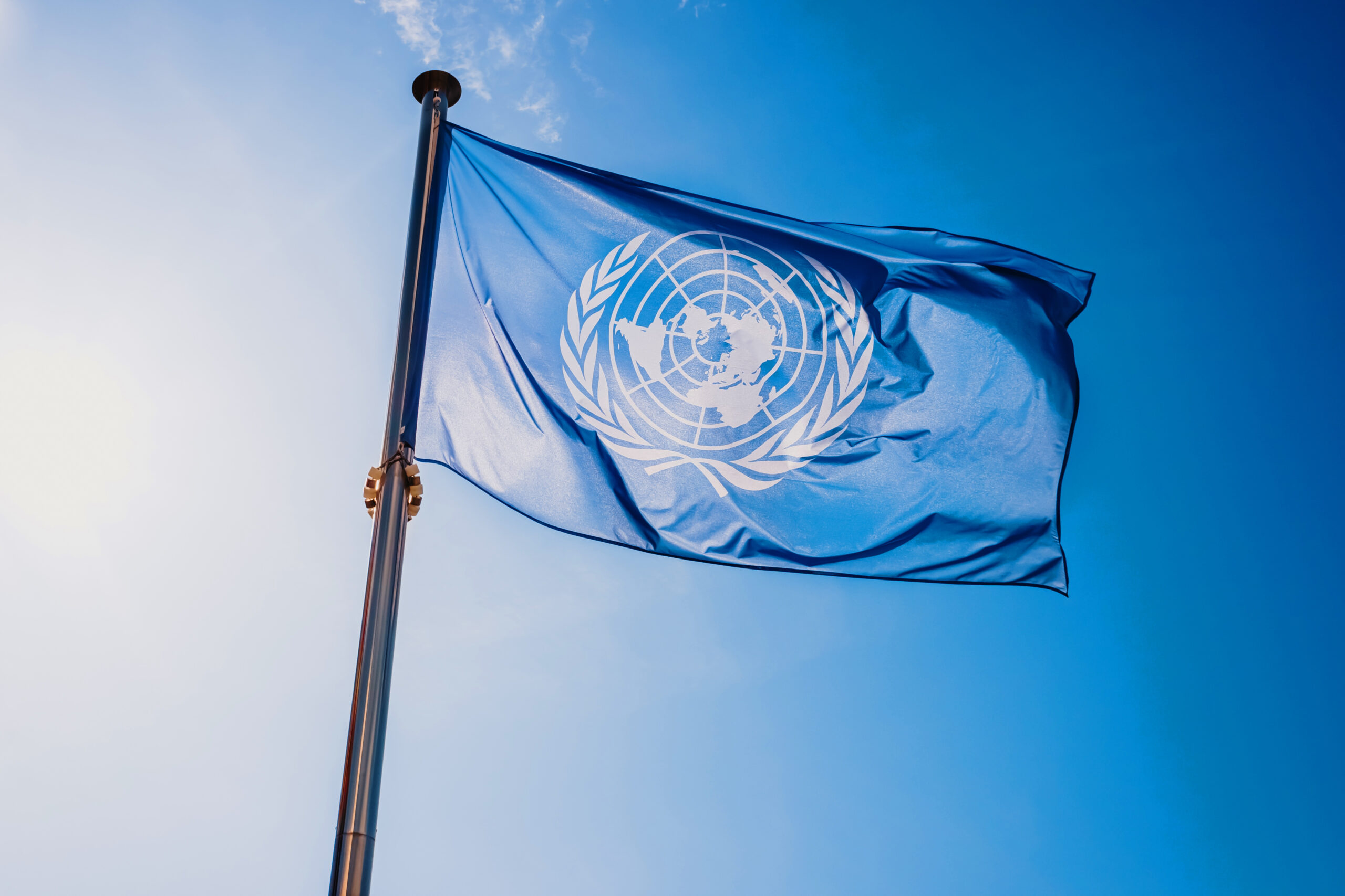 Protection against violence and discrimination based on sexual orientation and gender identity in relation to the human rights to freedom of expression, association and assembly. Ordo Iuris opinion to the UN