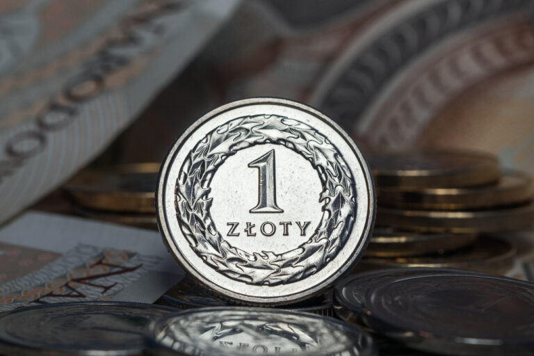 Potrzeba całkowitej transparentności finansowej organizacji pozarządowych. Opinia Ordo Iuris dla Rady Europy