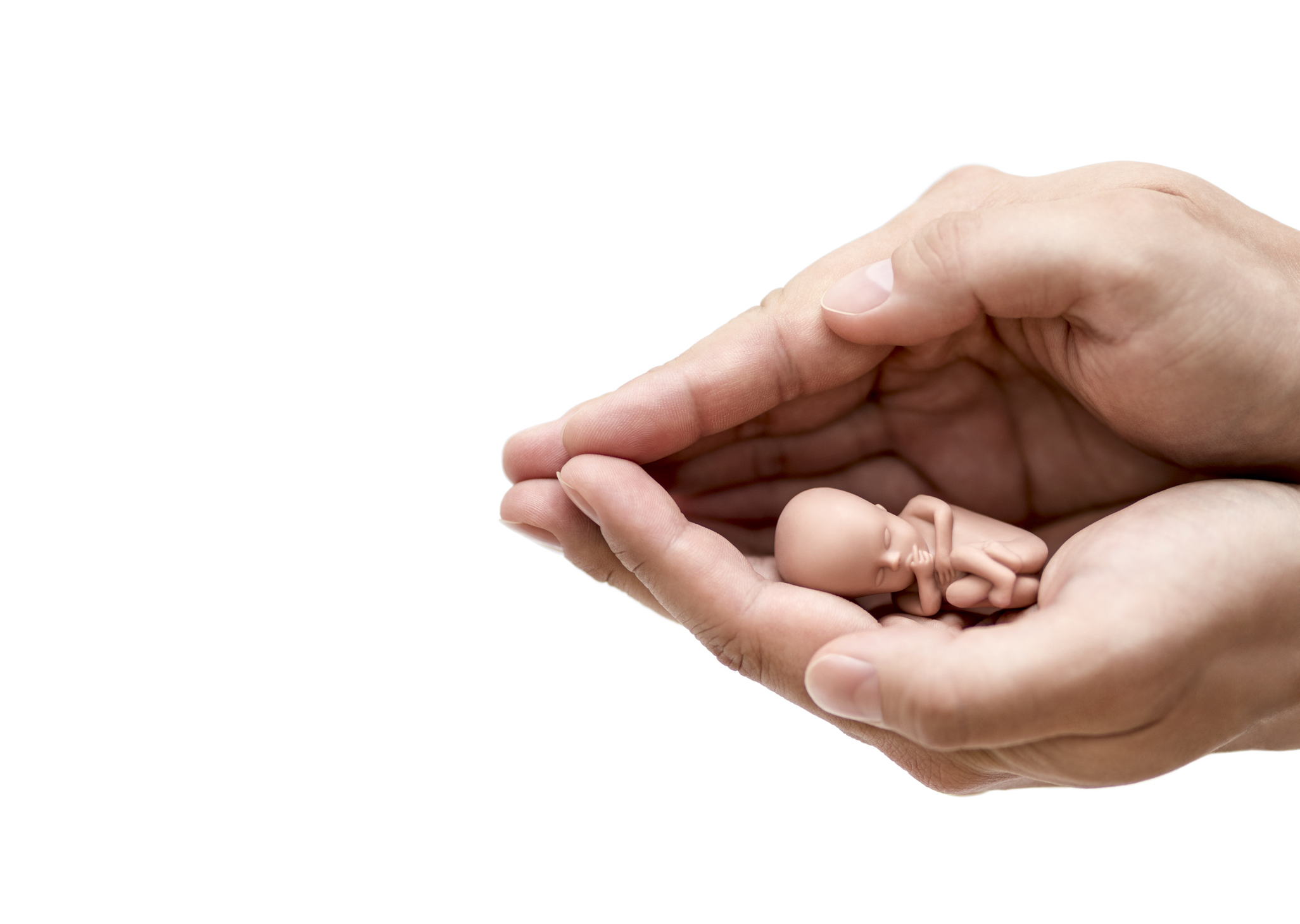 Klub Stańczyka zaprasza na konferencję o obronie życia AD 2025. W programie wystąpienia uznanych ekspertów i działaczy pro-life