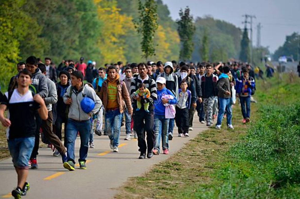 „Odzyskać kontrolę. Renacjonalizacja polityki migracyjnej” – prezentacja raportu w Brukseli