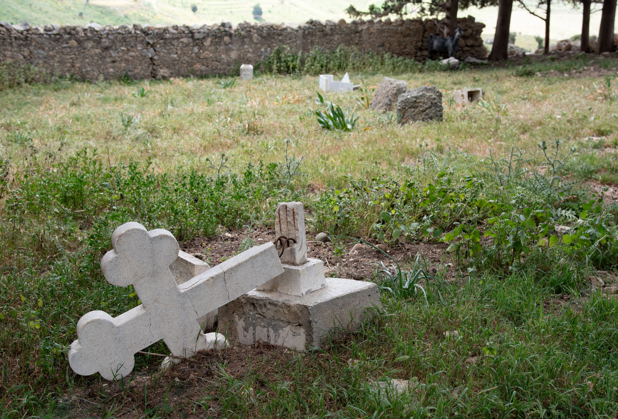 „Chrystianofobia wczoraj, dziś i jutro” – spotkania w Bartoszycach i Olsztynie