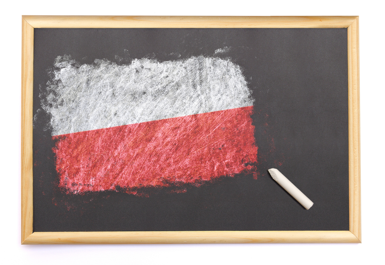 Niedostateczny dla Nowackiej. Świadectwo za deformę edukacji