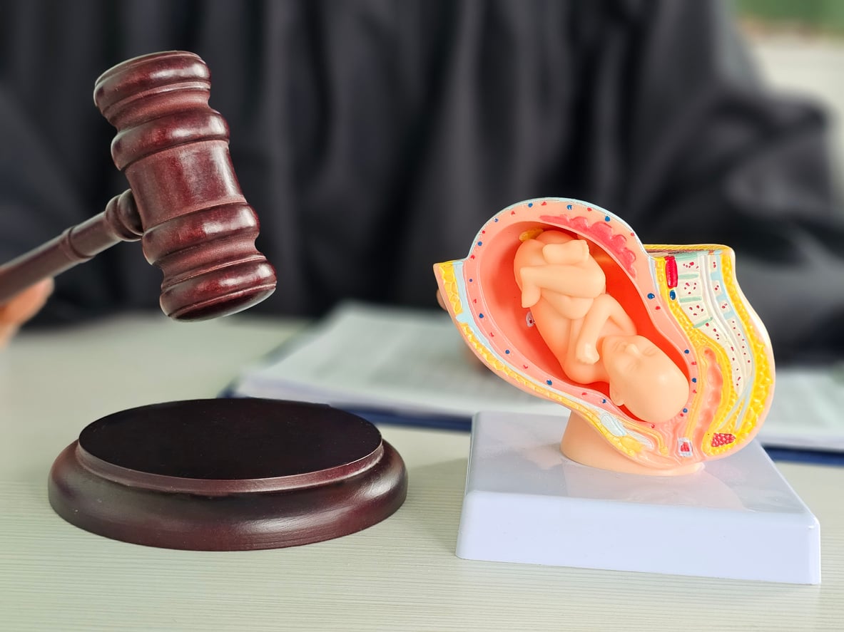 Opinie Komitetów nie są wiążące. Wyrok trybunału w Hadze ważny dla ochrony życia