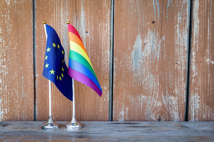 Ordo Iuris jedną z największych sił „antygenderowych” w Europie. Raport lewicowej organizacji zaprezentowany w PE